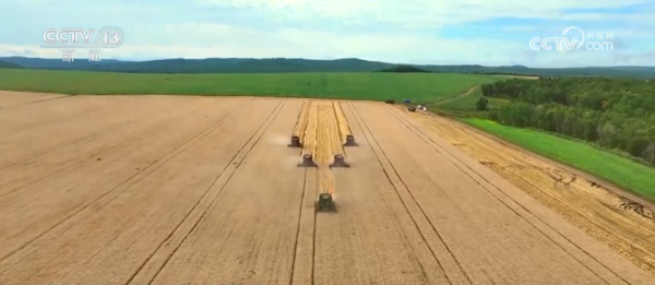 弘利配资 “科学化管理+技术创新”助力增产增效 希望的田野处处好“丰”光